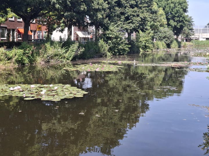 Foto 22 van Kleinpolderkade 45