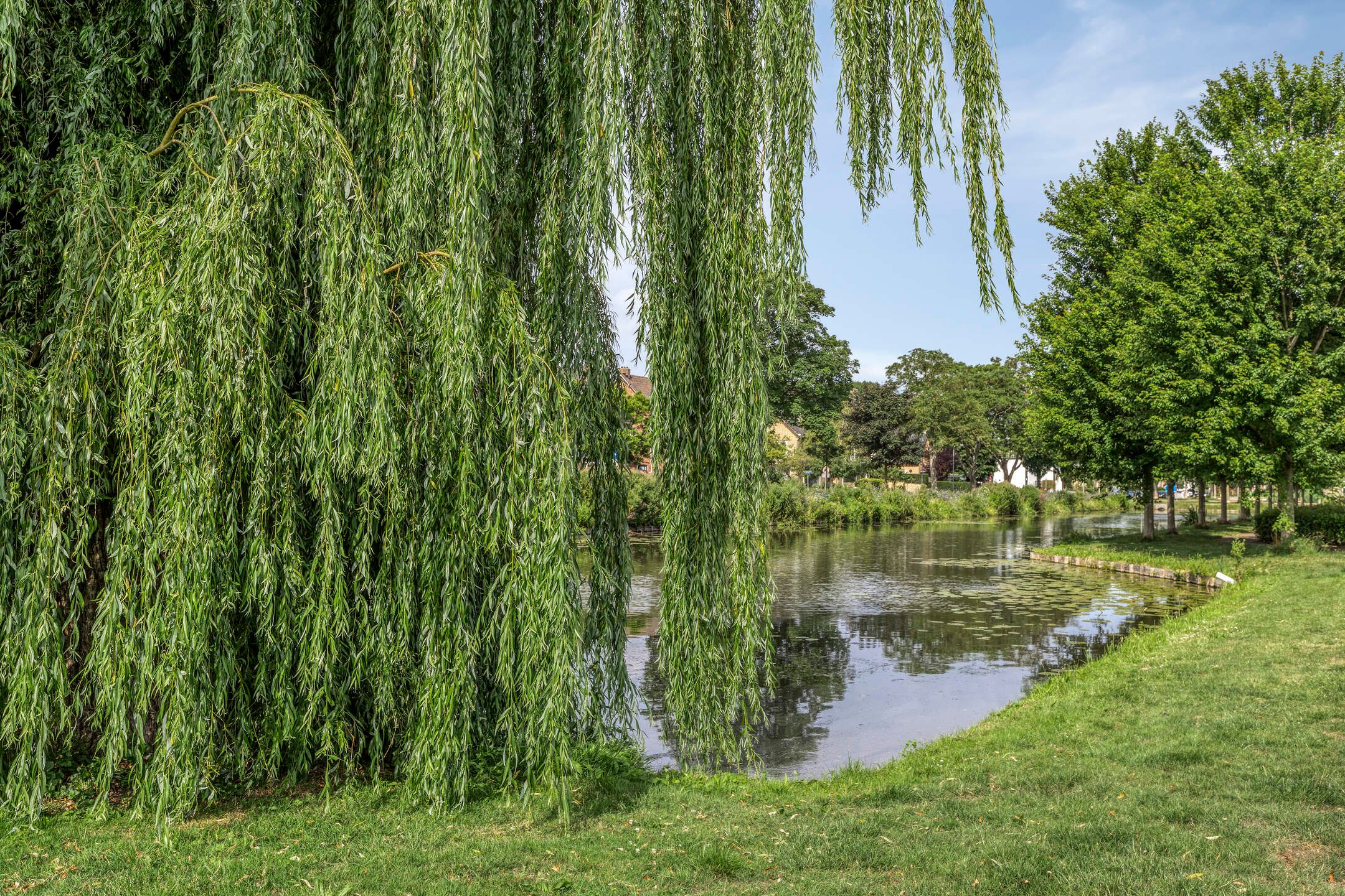 Foto 30 van Burgemeester Brouwerstraat 143