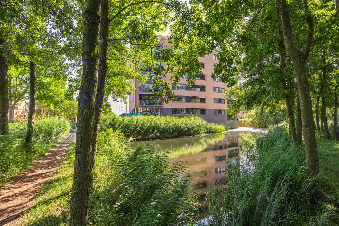 Photo 2 of Akkerviool 79