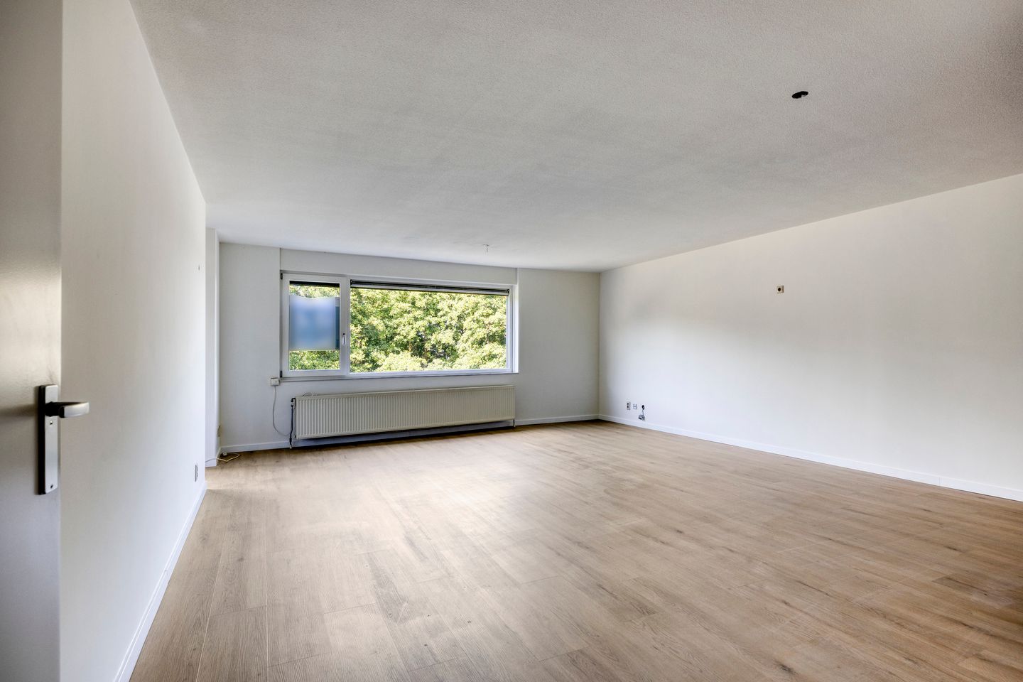 Photo 5 of Akkerviool 79