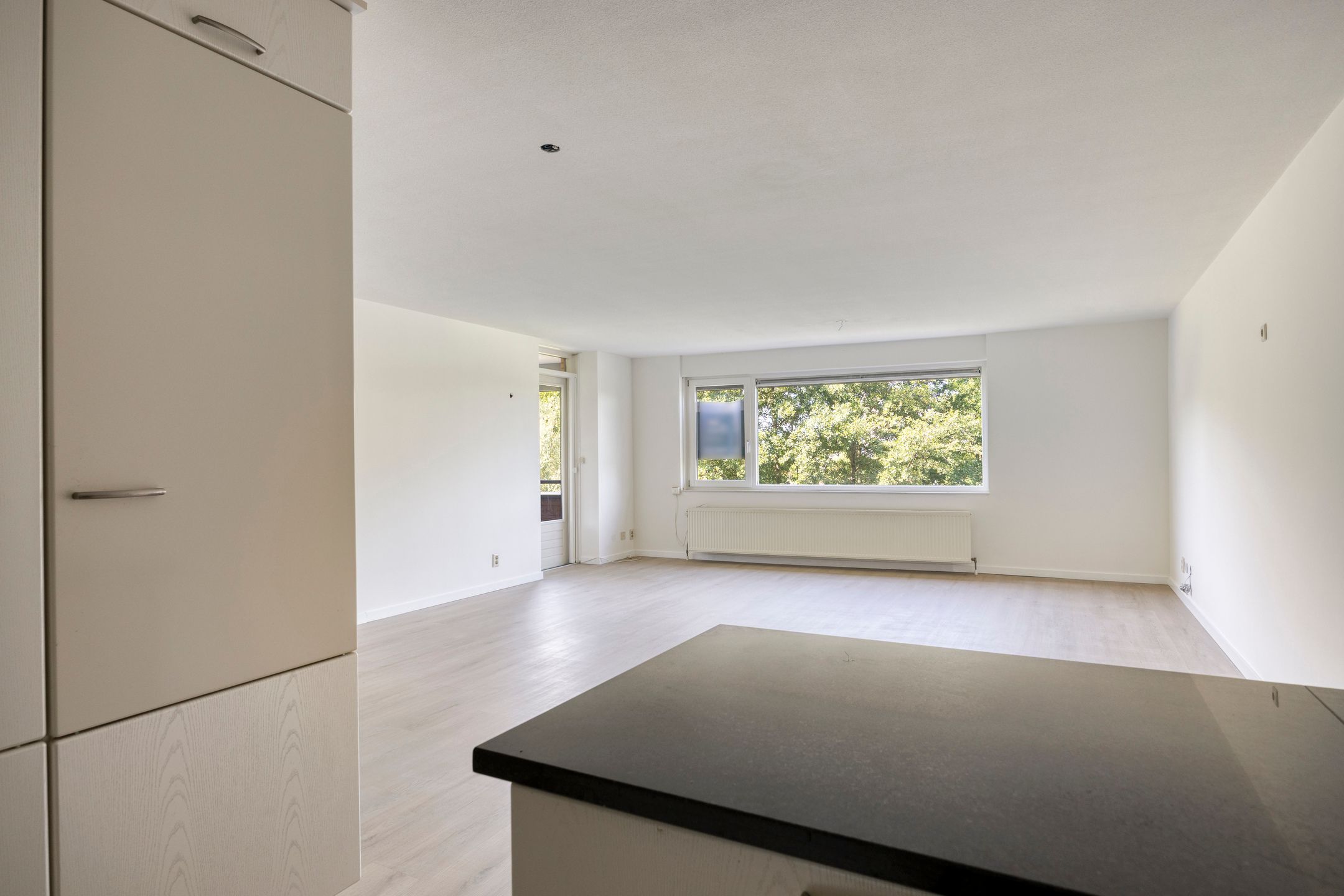 Photo 12 of Akkerviool 79