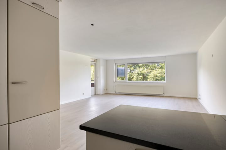 Photo 12 of Akkerviool 79