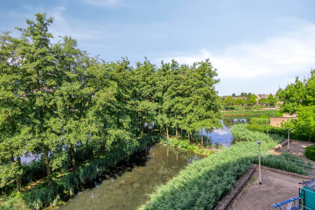 Photo 22 of Akkerviool 79