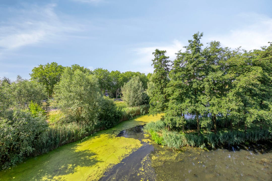 Photo 23 of Akkerviool 79