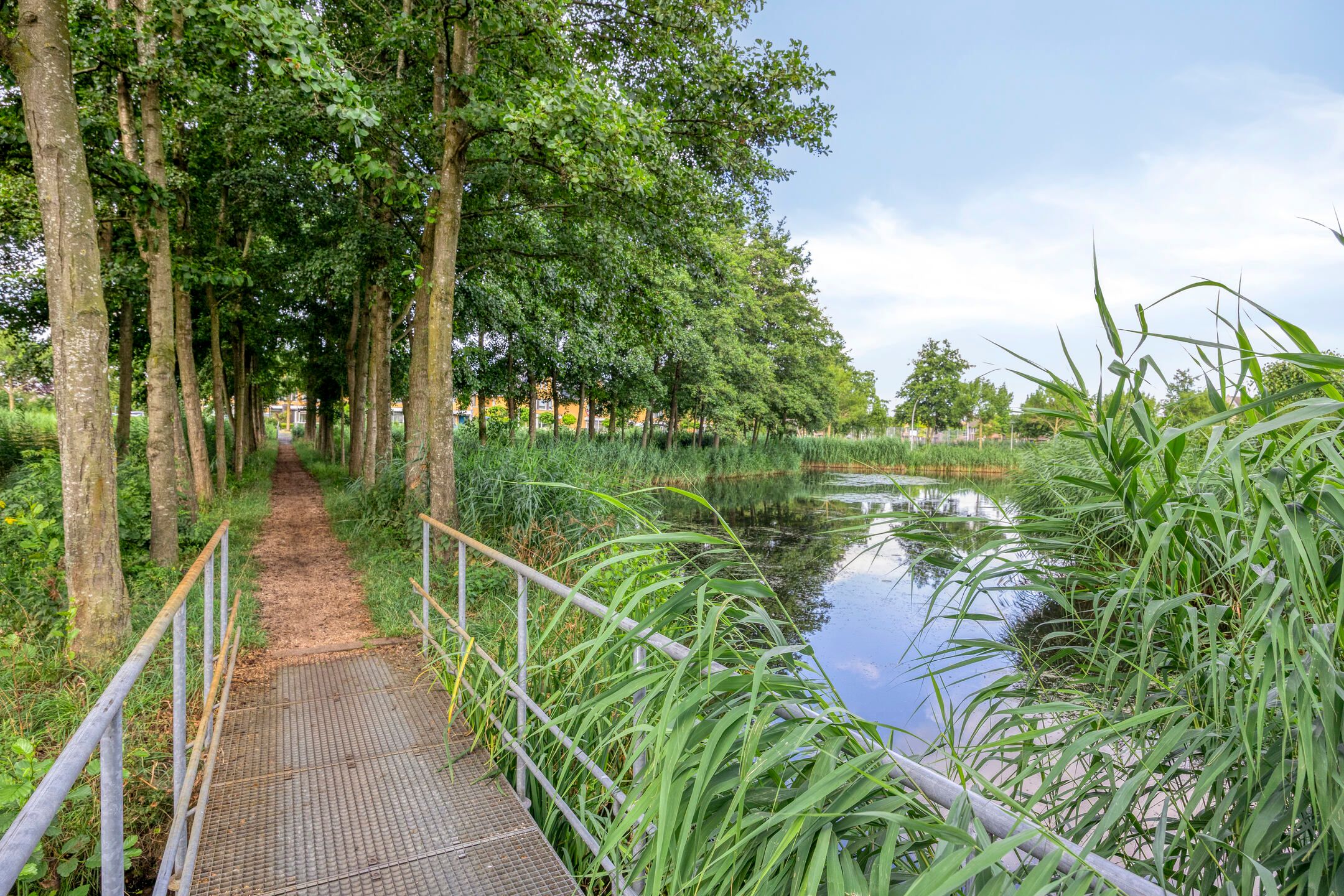 Photo 24 of Akkerviool 79