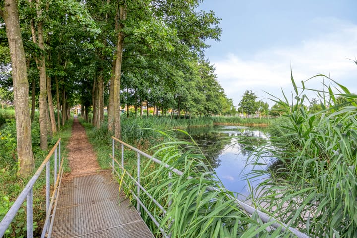 Photo 24 of Akkerviool 79