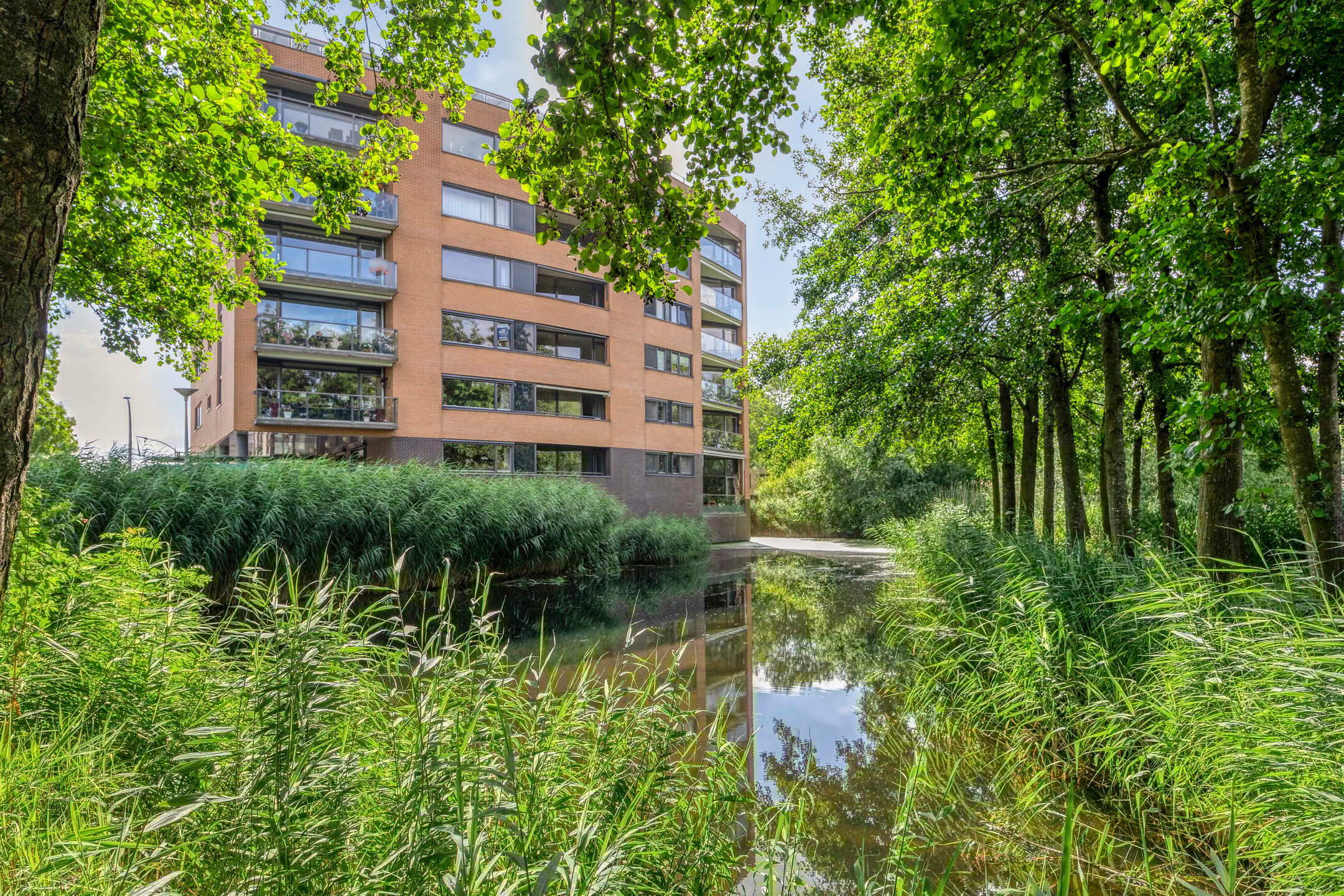 Photo 27 of Akkerviool 79