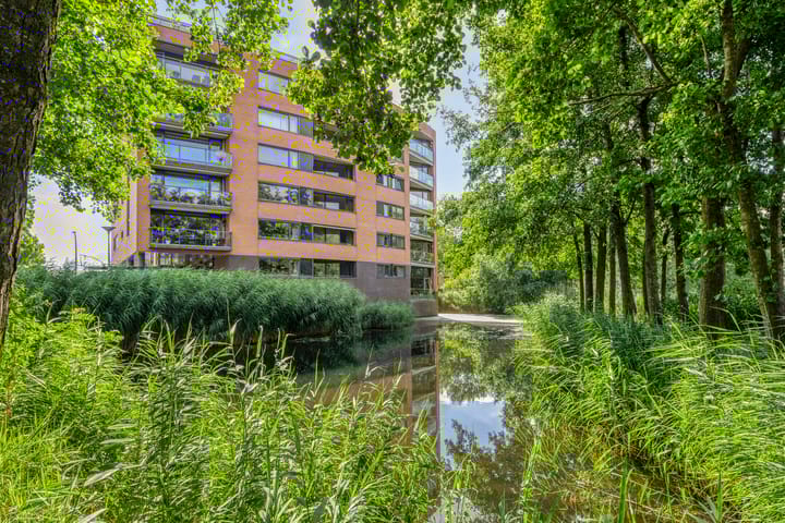 Photo 27 of Akkerviool 79