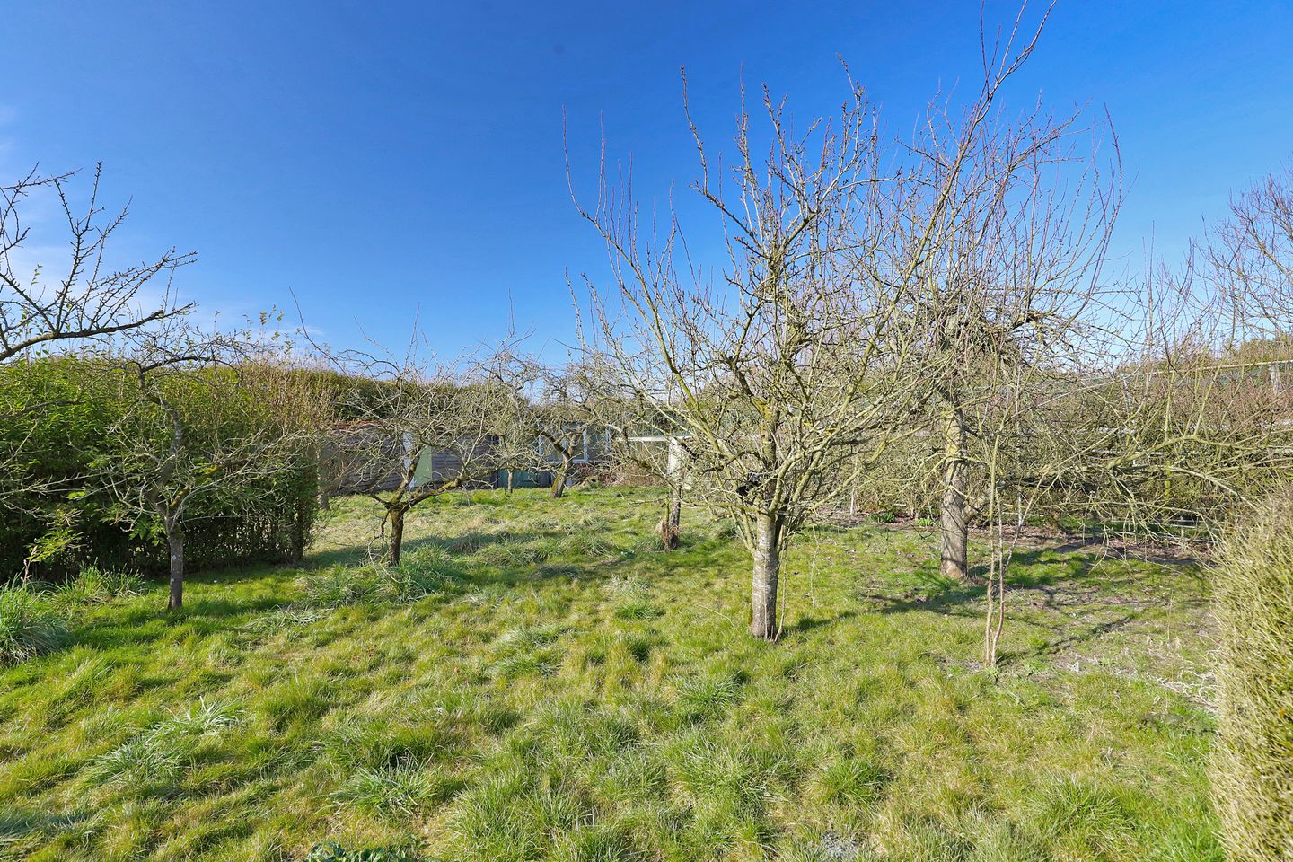 Photo 40 of Lombokweg 1