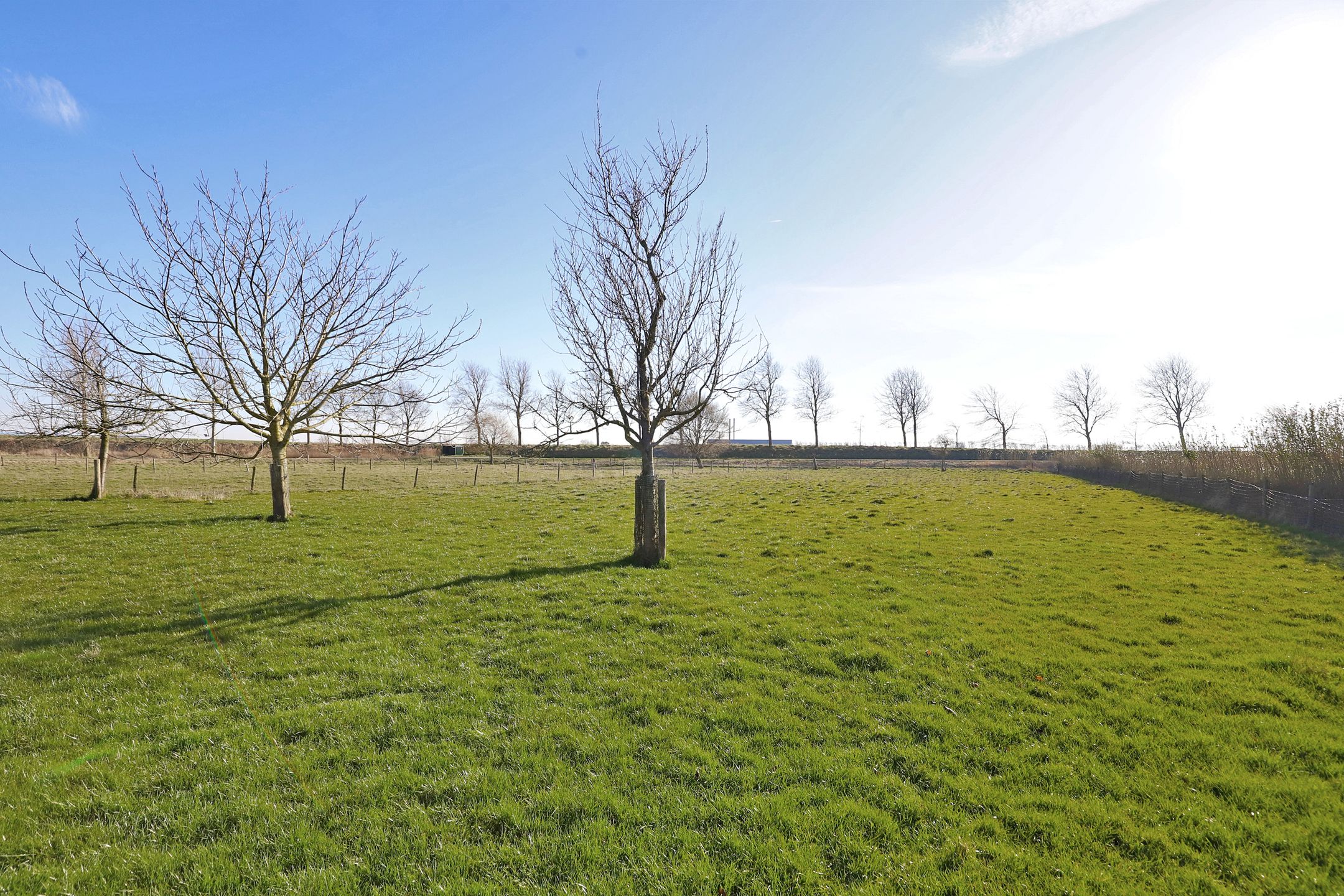 Photo 45 of Lombokweg 1