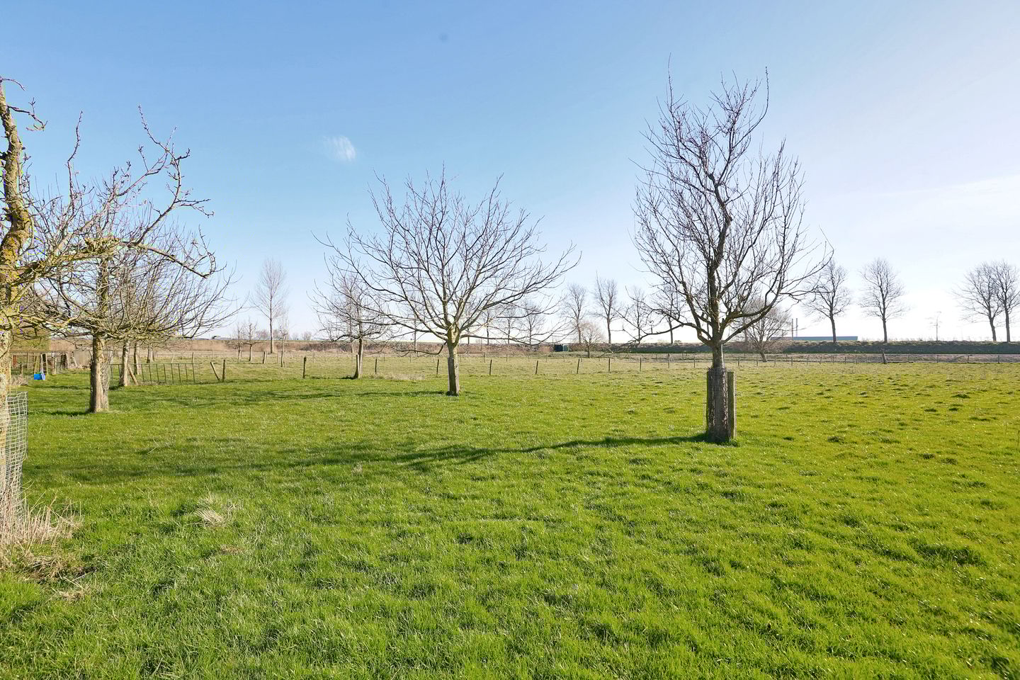 Photo 44 of Lombokweg 1