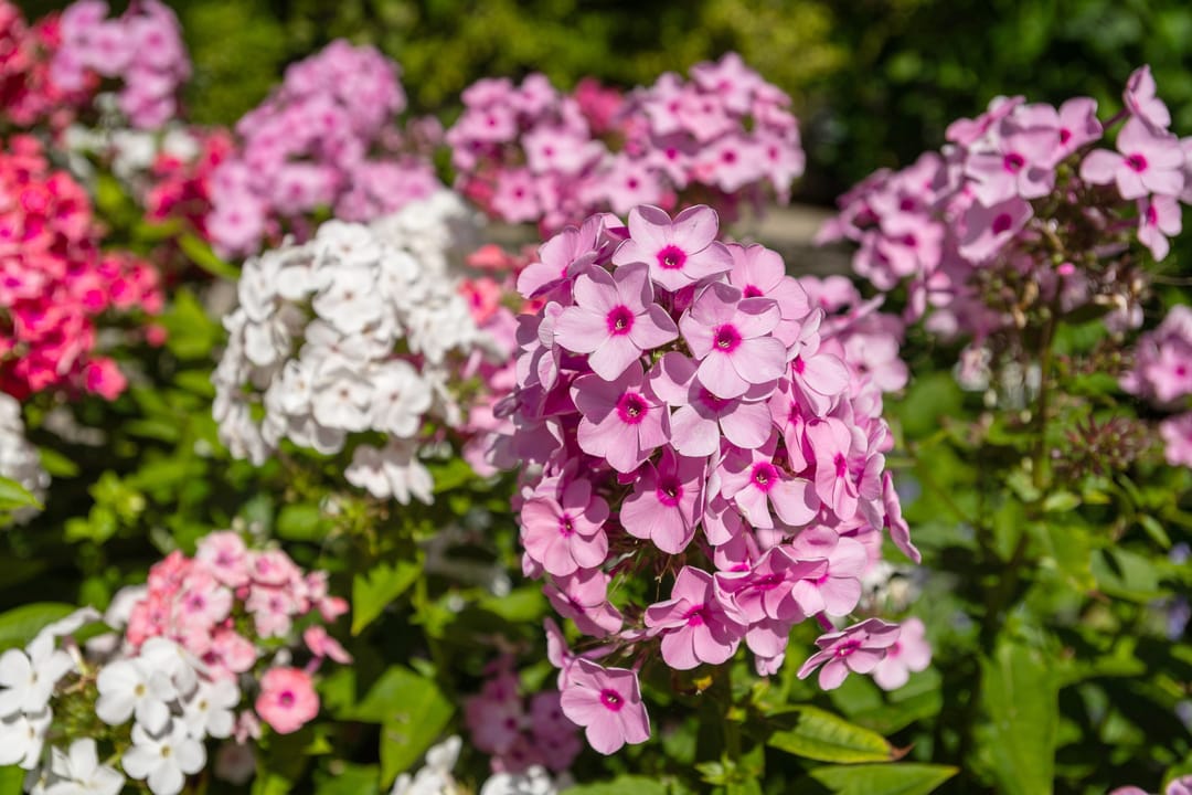 Foto 41 van 's-Gravenweg 129