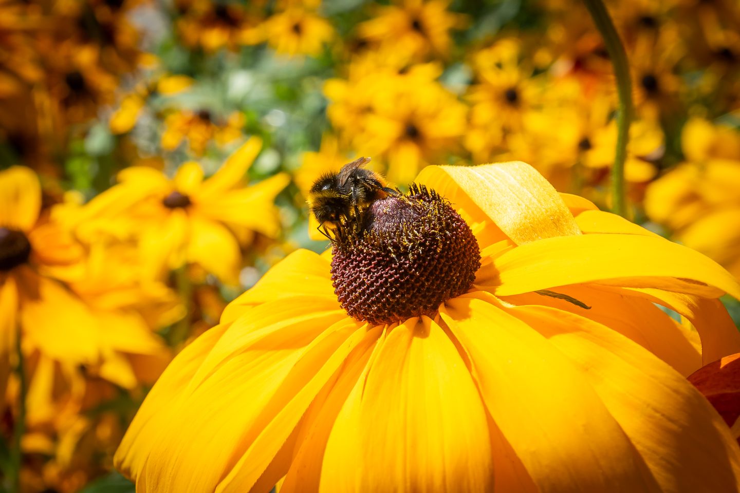 Foto 49 van 's-Gravenweg 129