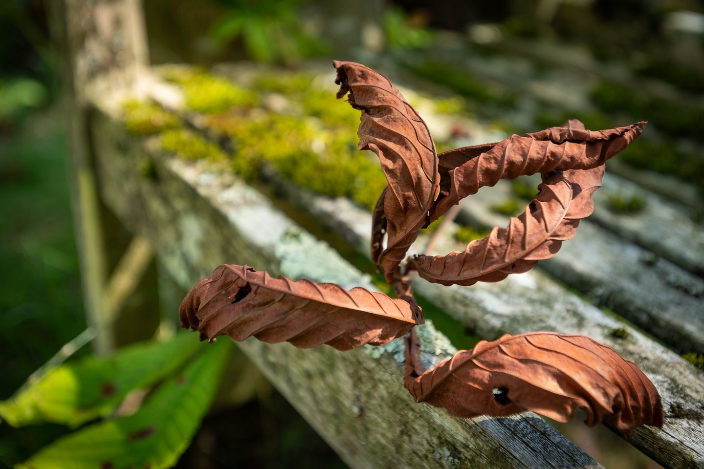 Foto 55 van 's-Gravenweg 129