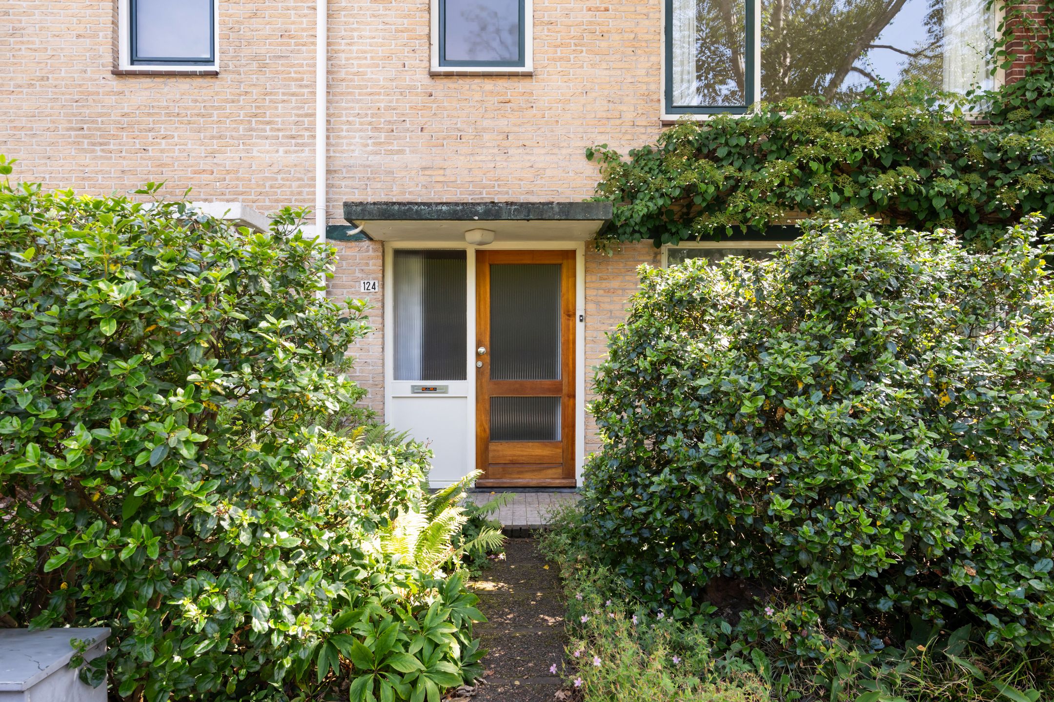 Photo 3 of Colenso 124