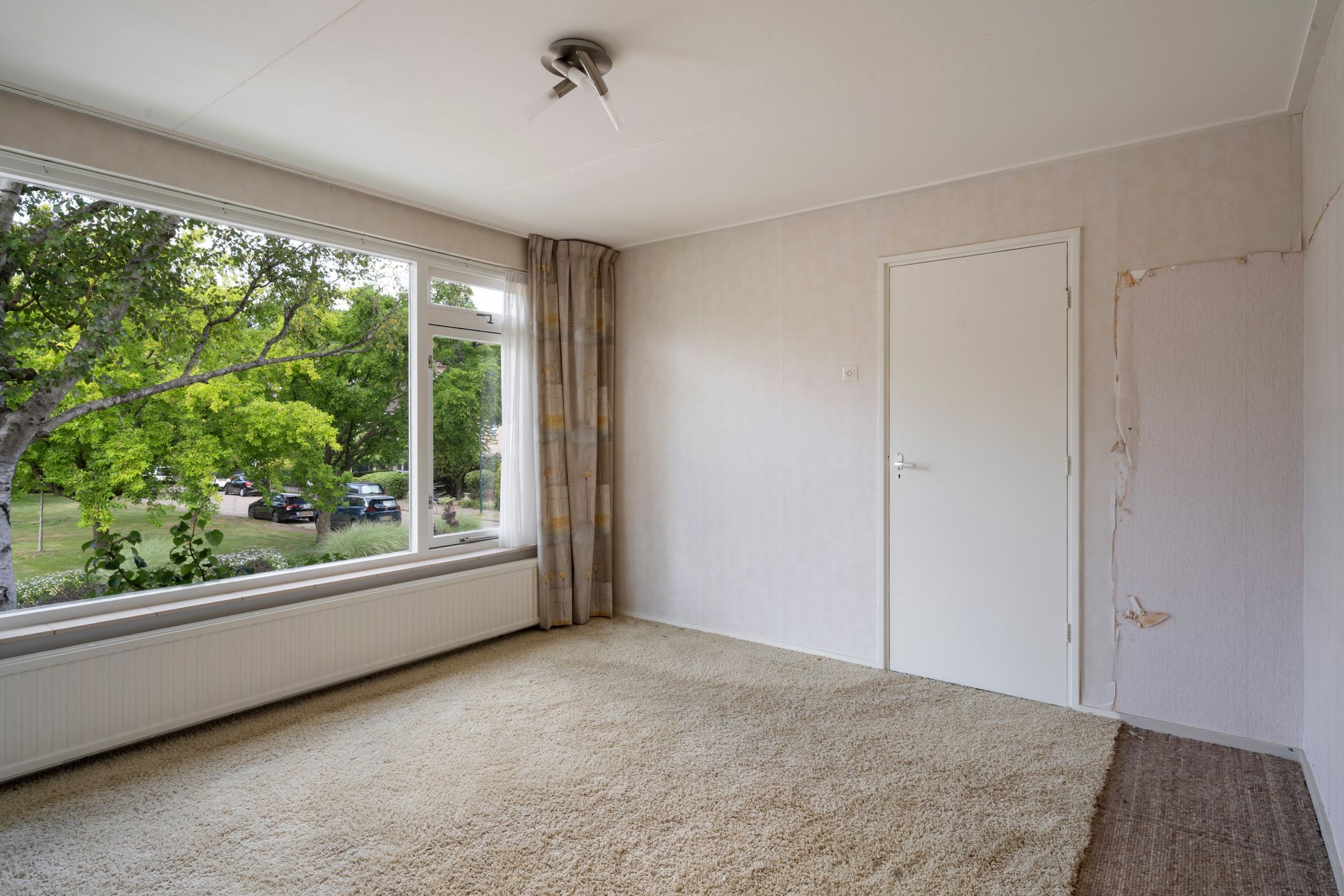 Photo 12 of Colenso 124