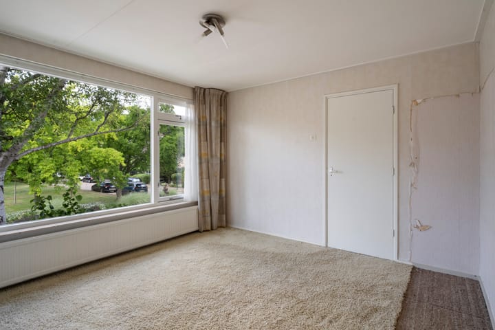 Photo 12 of Colenso 124