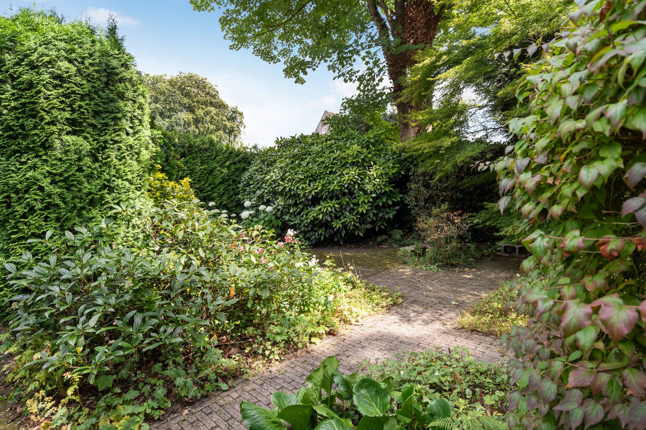 Photo 21 of Colenso 124