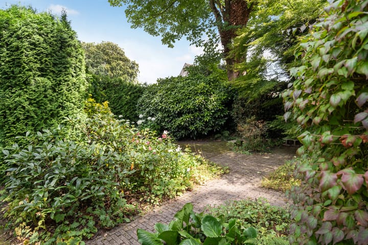 Photo 21 of Colenso 124