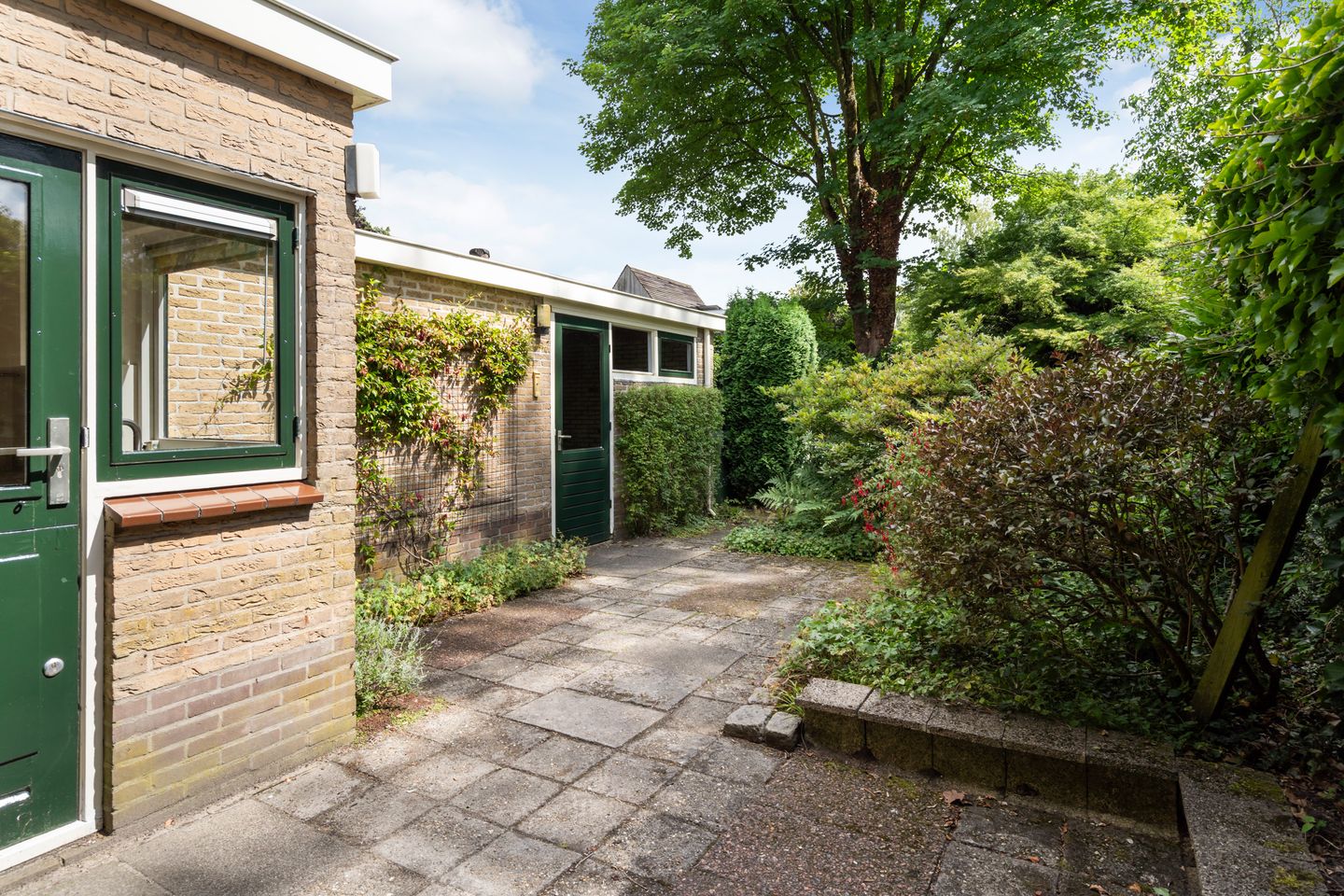 Photo 20 of Colenso 124