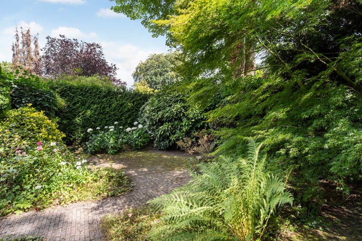 Photo 22 of Colenso 124