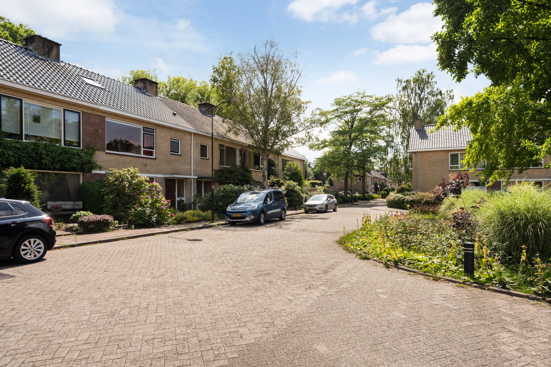 Photo 24 of Colenso 124