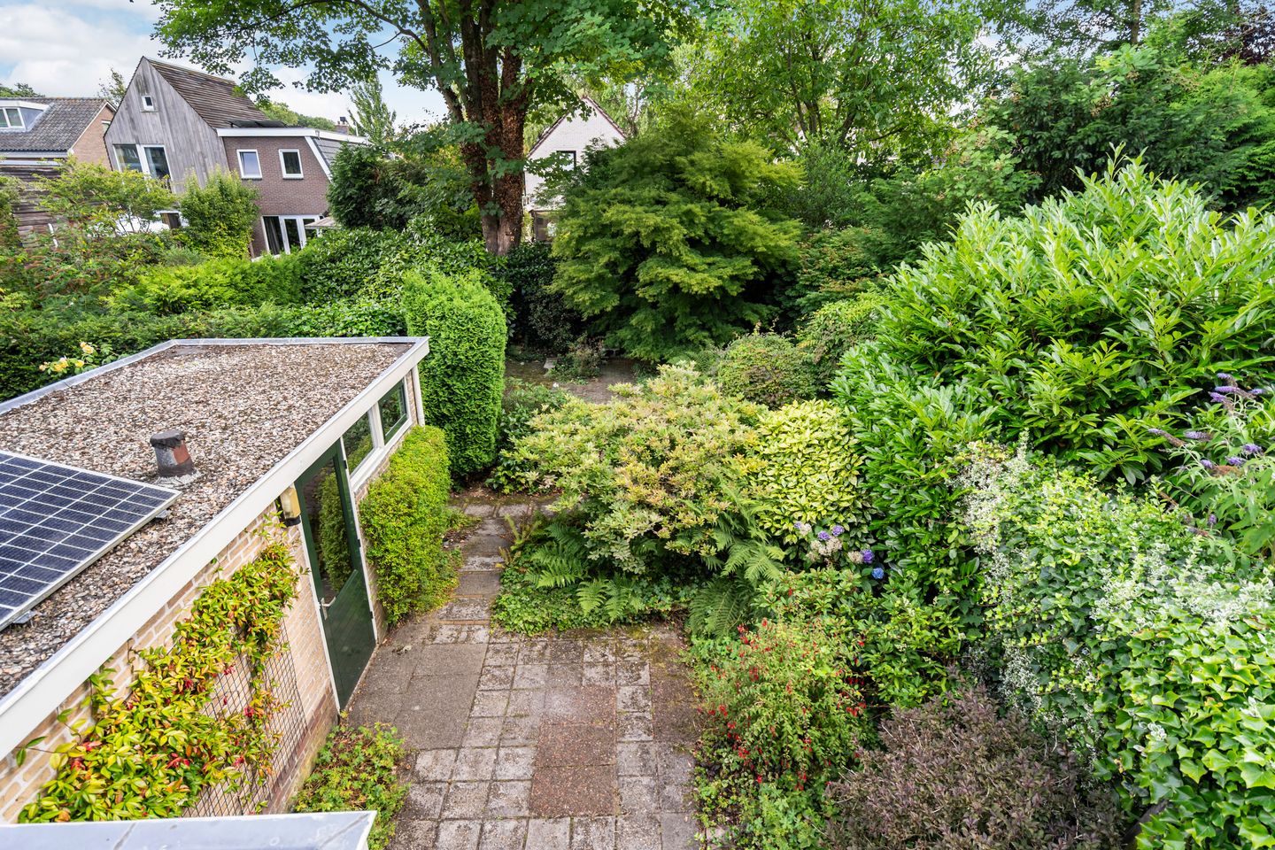 Photo 25 of Colenso 124