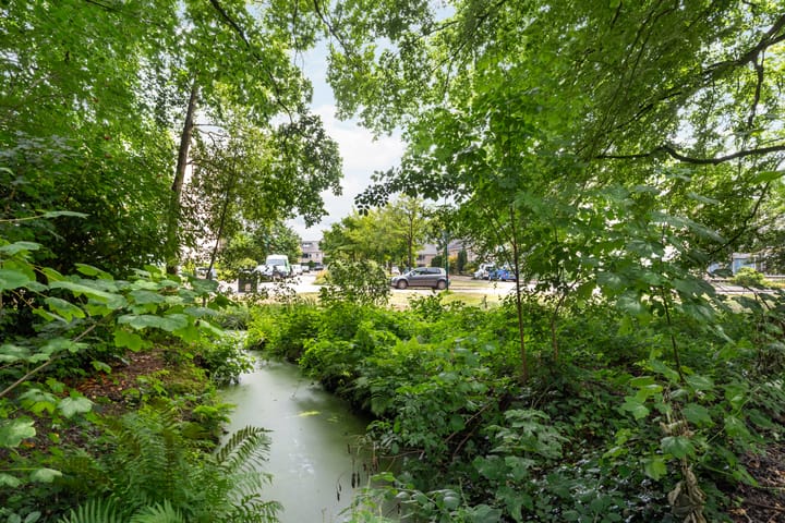 Photo 27 of Colenso 124