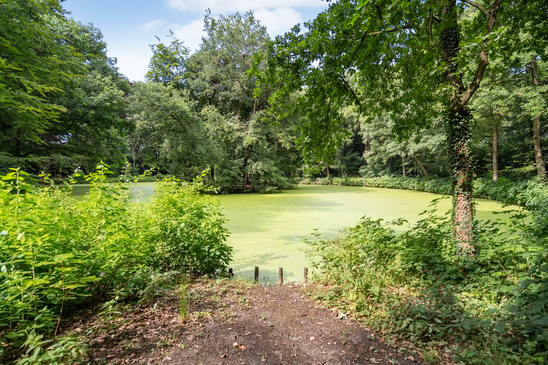 Photo 26 of Colenso 124