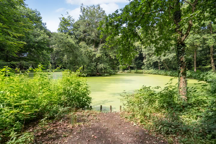 Photo 26 of Colenso 124