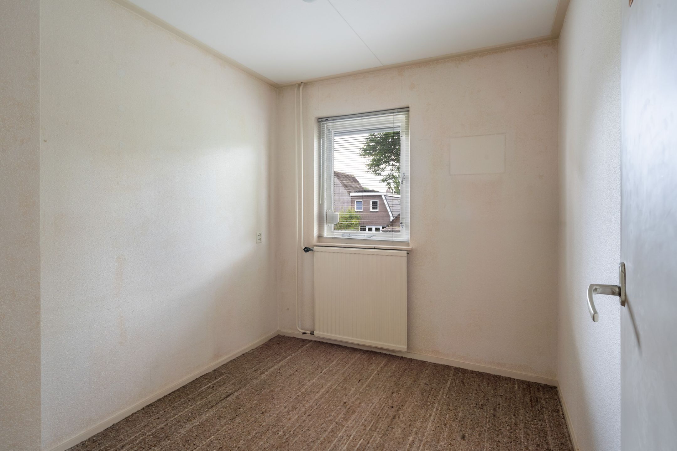 Photo 15 of Colenso 124