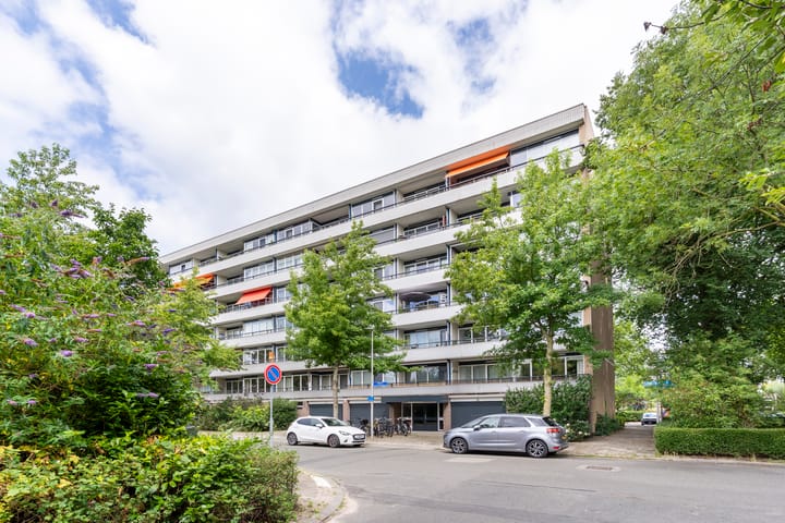 Hijmans van den Berghlaan 224