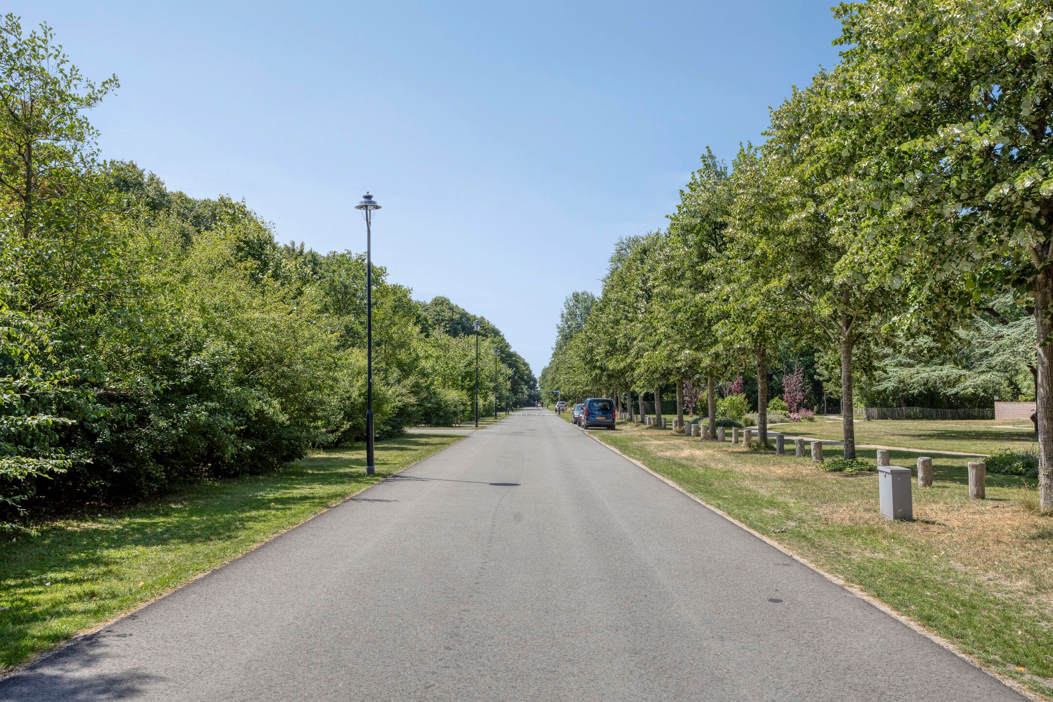 Foto 63 van Pauluslaan 28