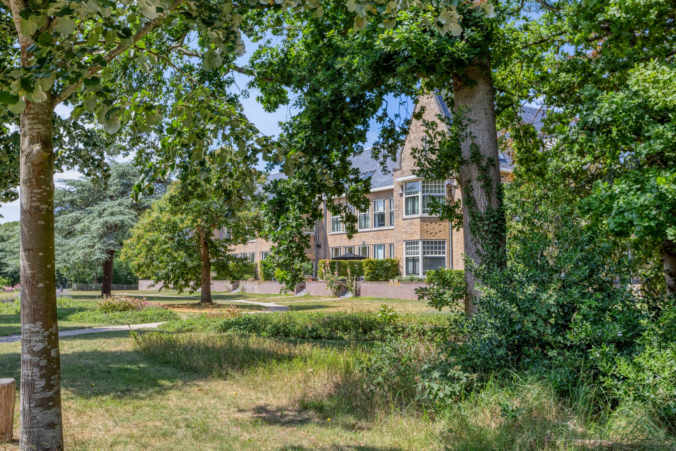 Foto 66 van Pauluslaan 28