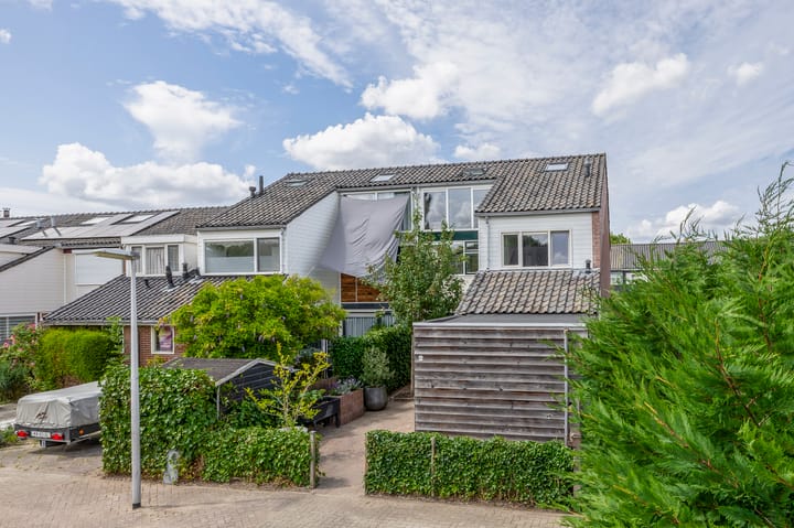 Foto 5 van de Populieren 2