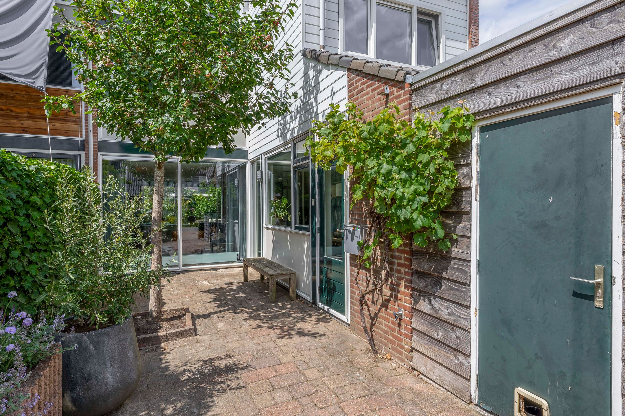 Foto 6 van de Populieren 2