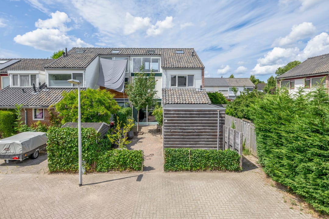 Foto 7 van de Populieren 2