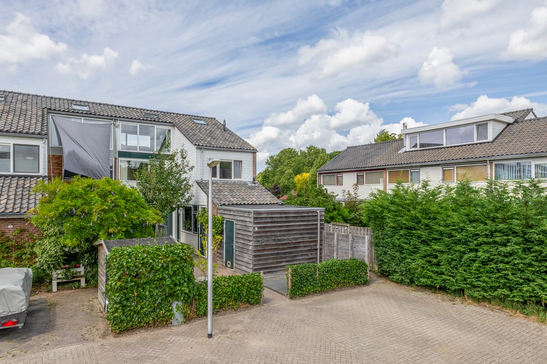 Foto 8 van de Populieren 2