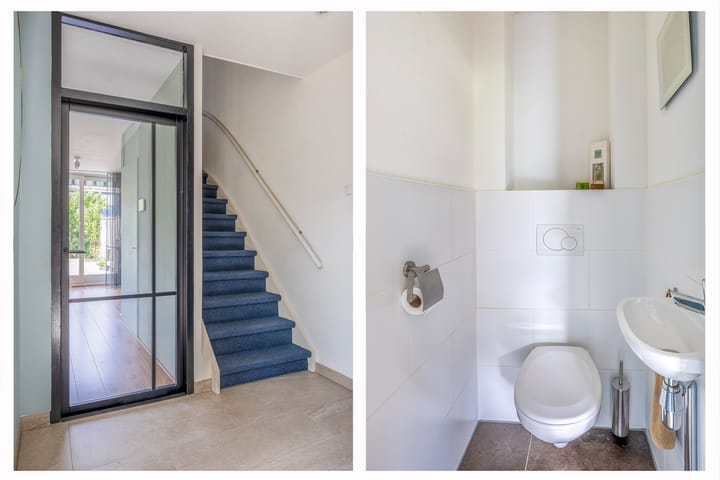 Foto 9 van de Populieren 2