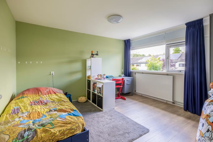 Foto 23 van de Populieren 2