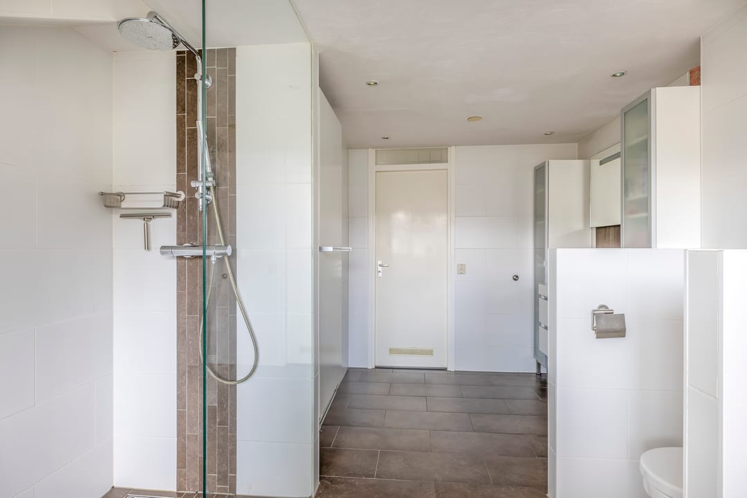 Foto 28 van de Populieren 2