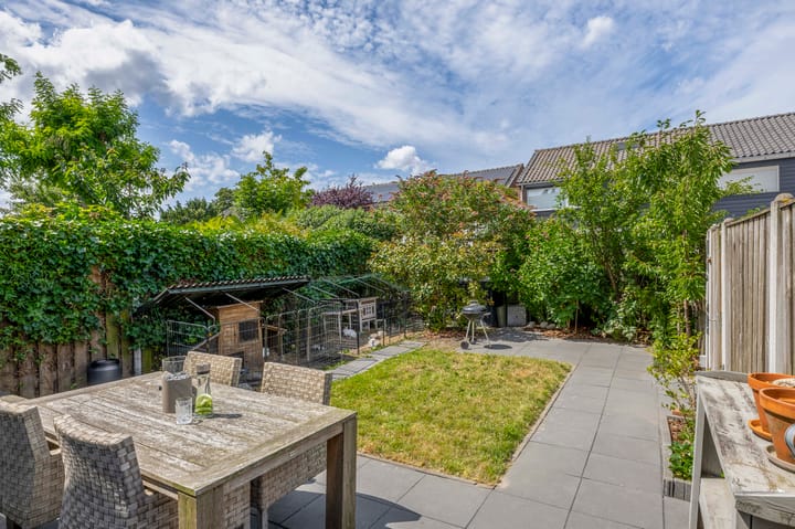 Foto 35 van de Populieren 2