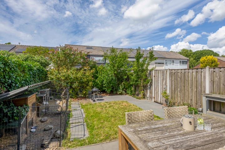 Foto 36 van de Populieren 2