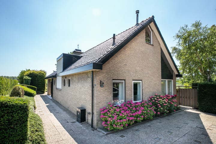 Foto 10 van Schapengorsedijk 25