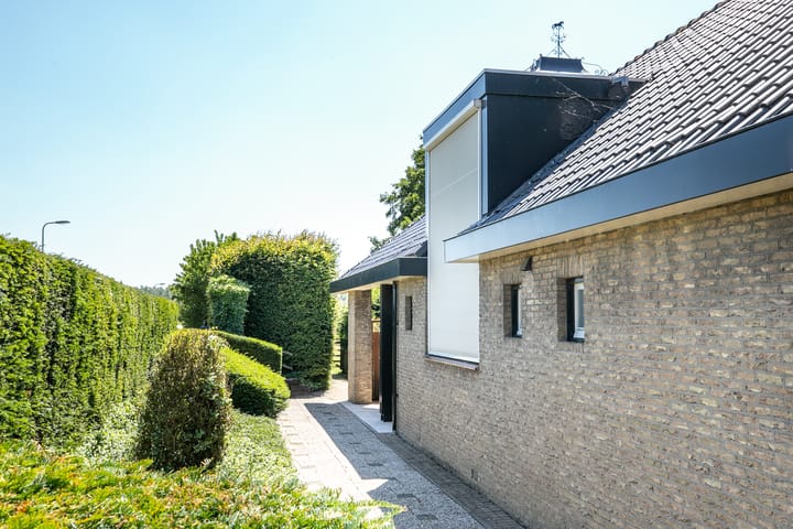 Foto 12 van Schapengorsedijk 25