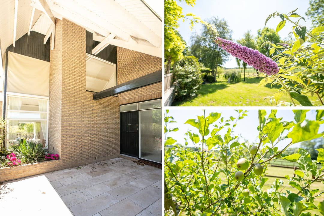 Foto 13 van Schapengorsedijk 25