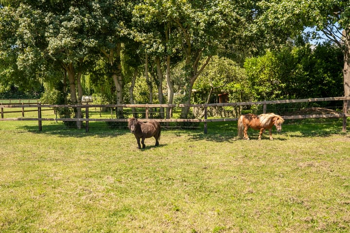 Foto 68 van Schapengorsedijk 25