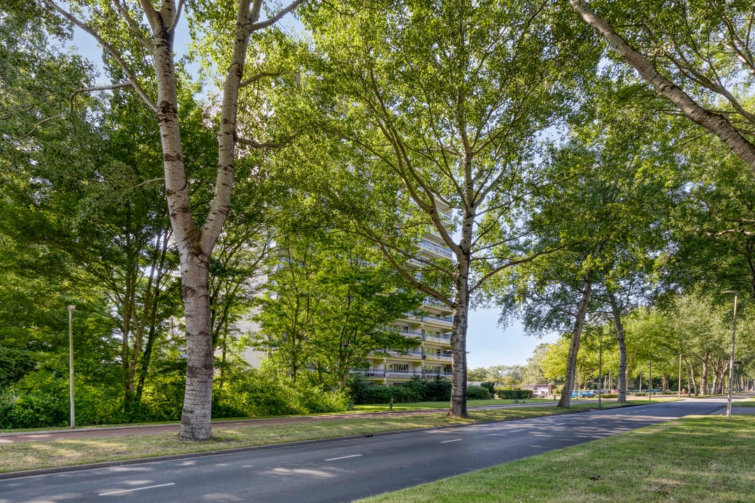 Foto 7 van Burgemeester D. Kooimanweg 397