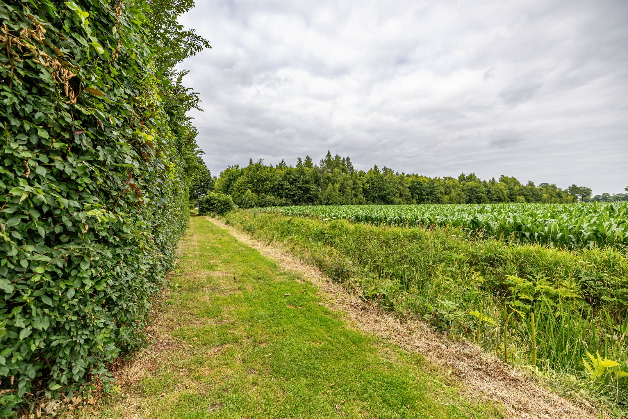 Foto 33 van Houtvester Jansenweg 2-92