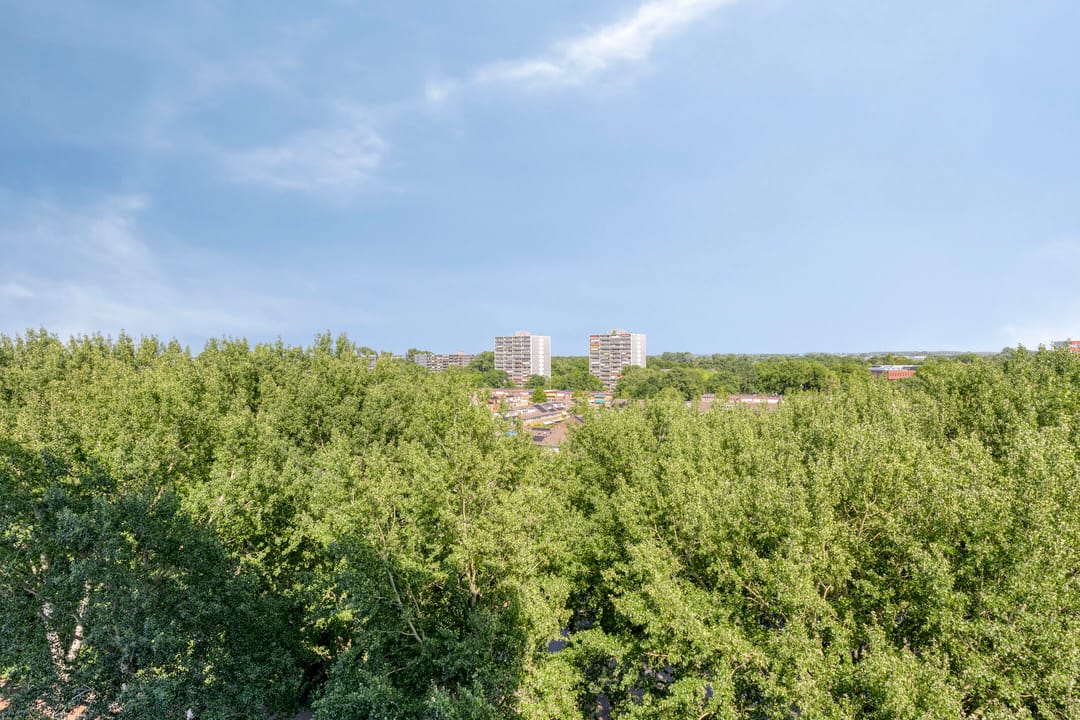 Foto 28 van Burgemeester D. Kooimanweg 397